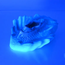 Load image into Gallery viewer, C4SDJ29 Calypso Large 0030 UV GITD CS
