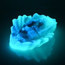 Load image into Gallery viewer, C4SDJ29 Calypso Large 0030 UV GITD CS
