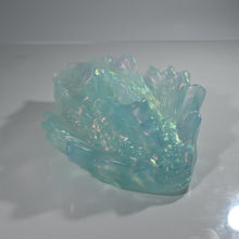 Load image into Gallery viewer, C4TDJ36 Calypso Large NC 0031 CS
