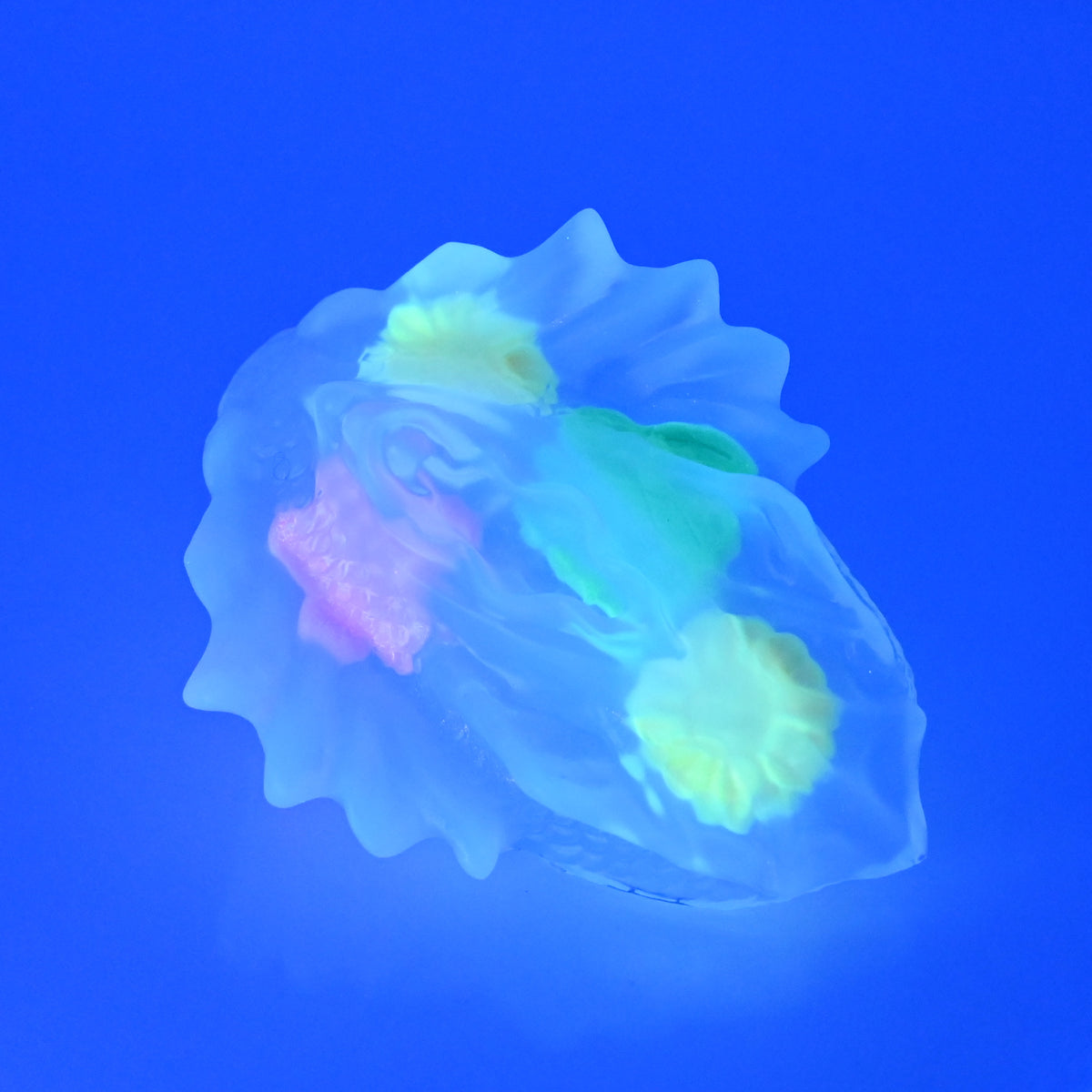 C2TDK83 Calypso Small NC 0031 CS