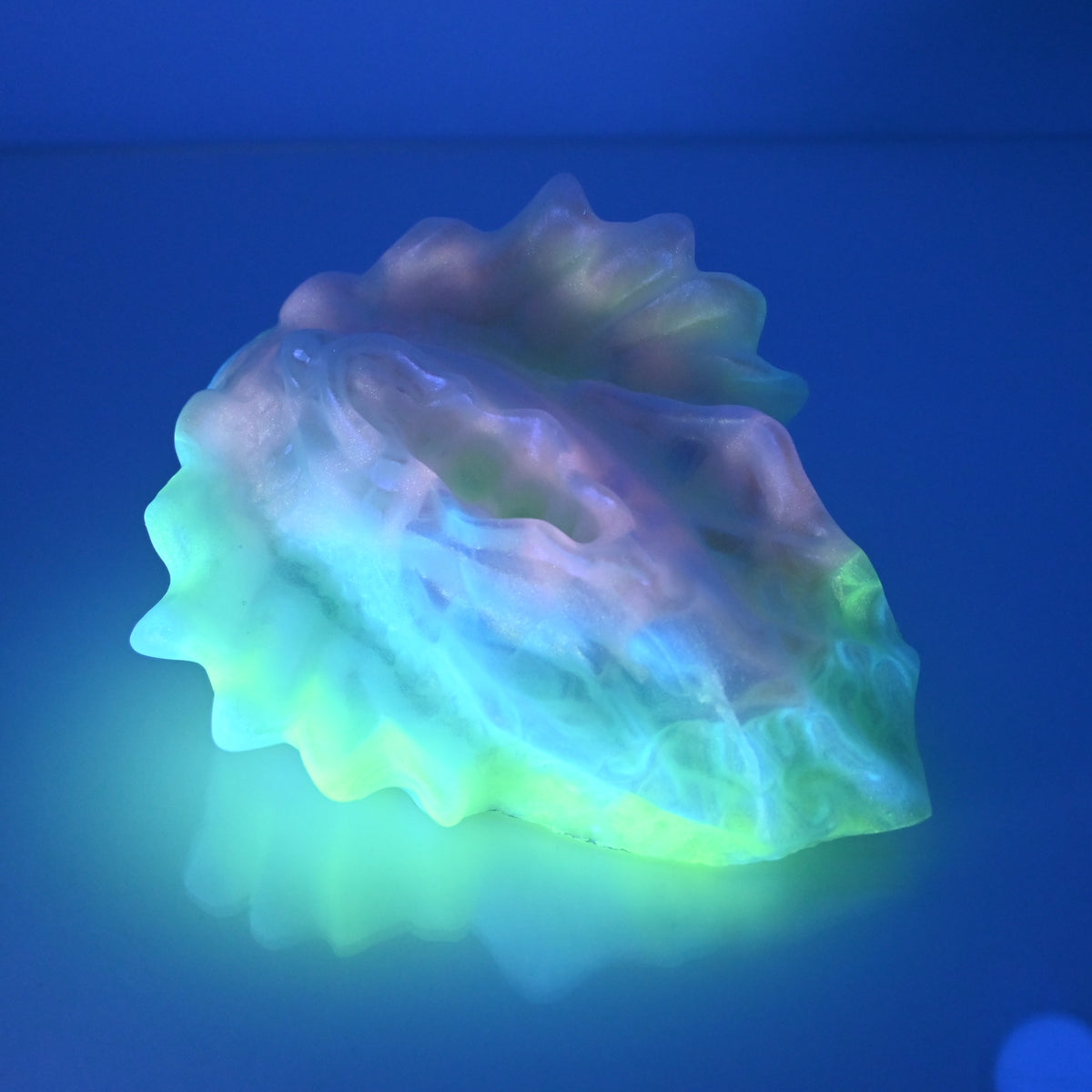 C4MDK93 Calypso Large 0050 UV GITD CS