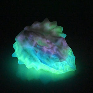 C4MDK93 Calypso Large 0050 UV GITD CS